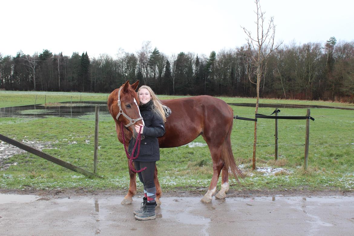 Anden særlig race Lady billede 7