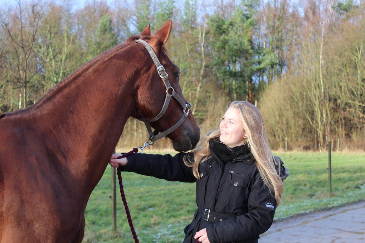 Anden særlig race Lady billede 6