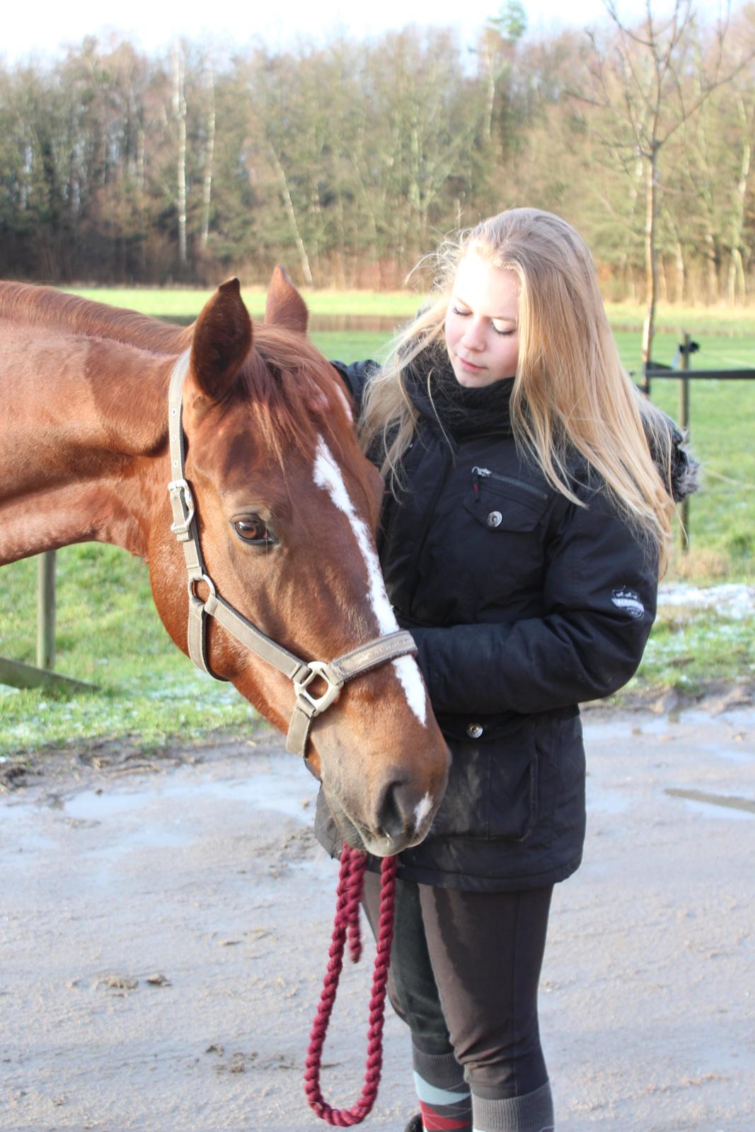 Anden særlig race Lady billede 3