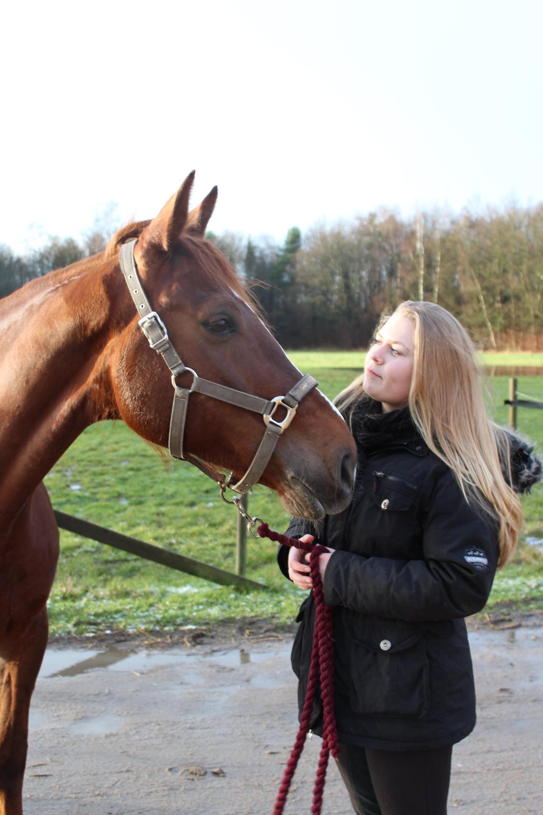 Anden særlig race Lady billede 8