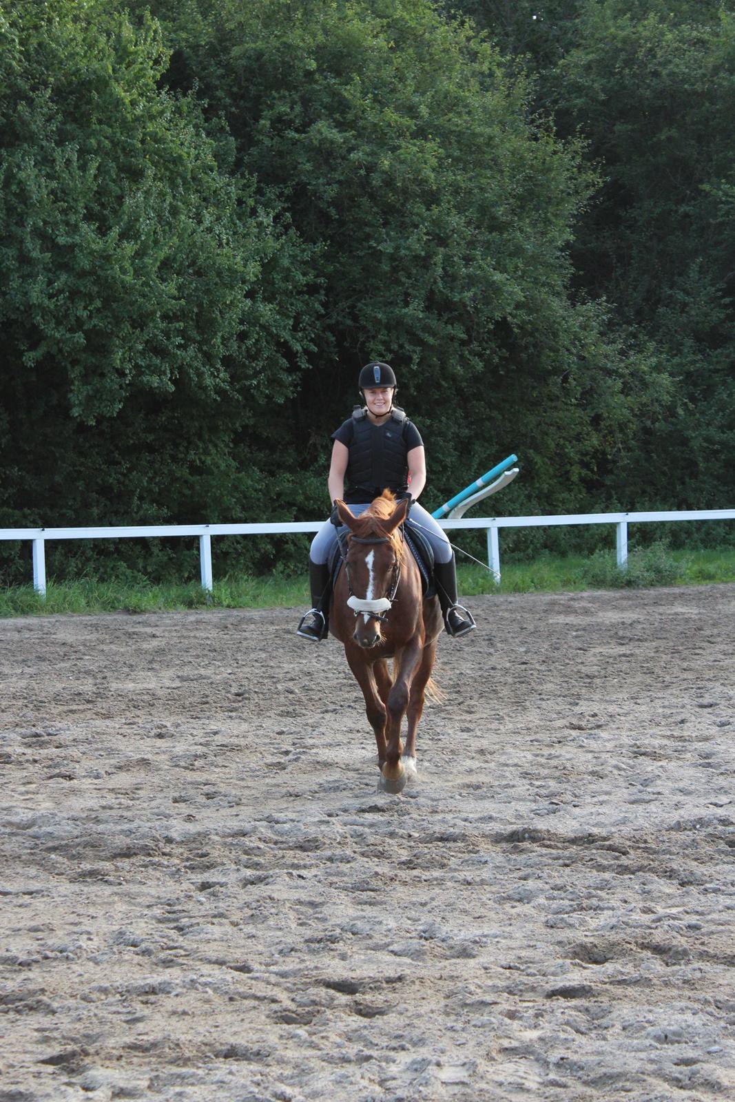 Anden særlig race Lady billede 12