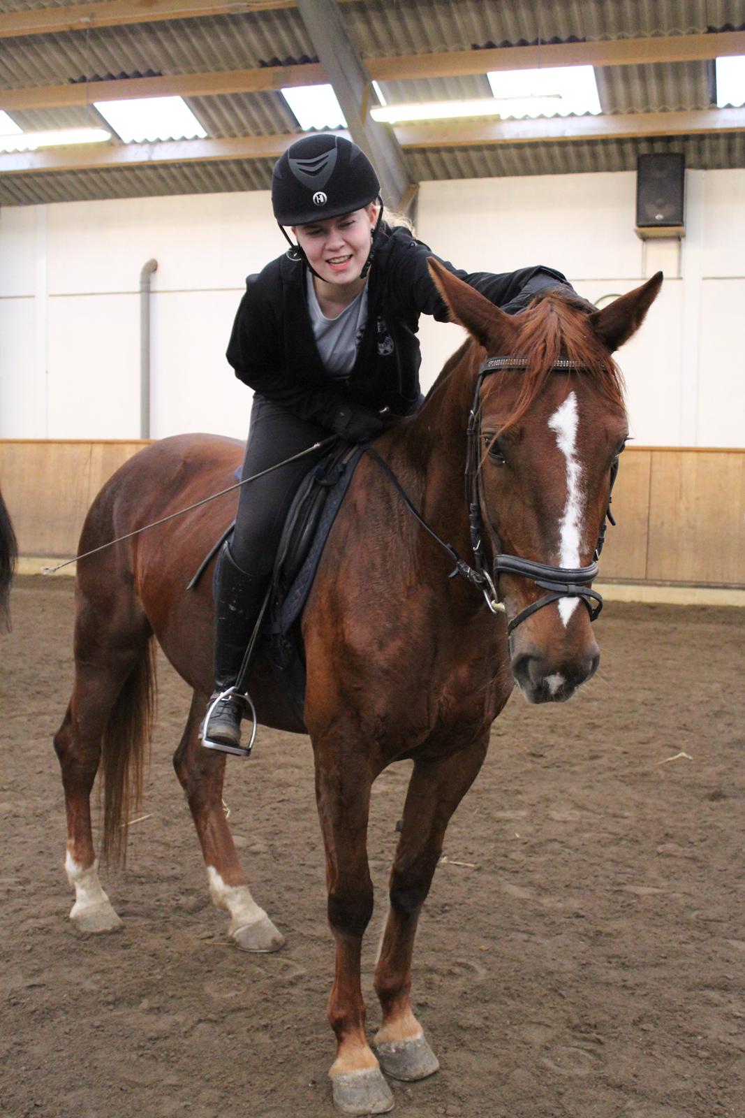 Anden særlig race Lady billede 15