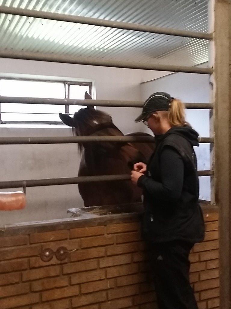 Anden særlig race Fabian R:I:P - Da jeg mødte ham aller første gang 1/9-2014 billede 1