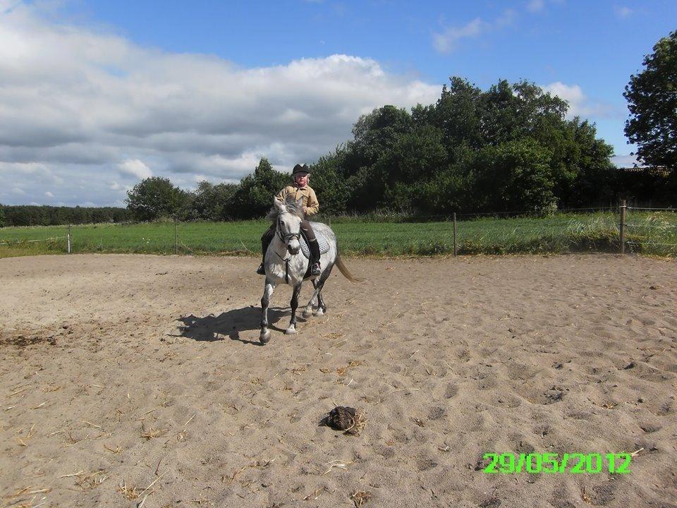 Anden særlig race Collexion billede 10