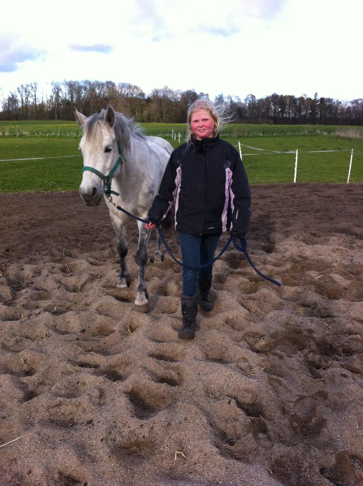 Anden særlig race Collexion billede 13