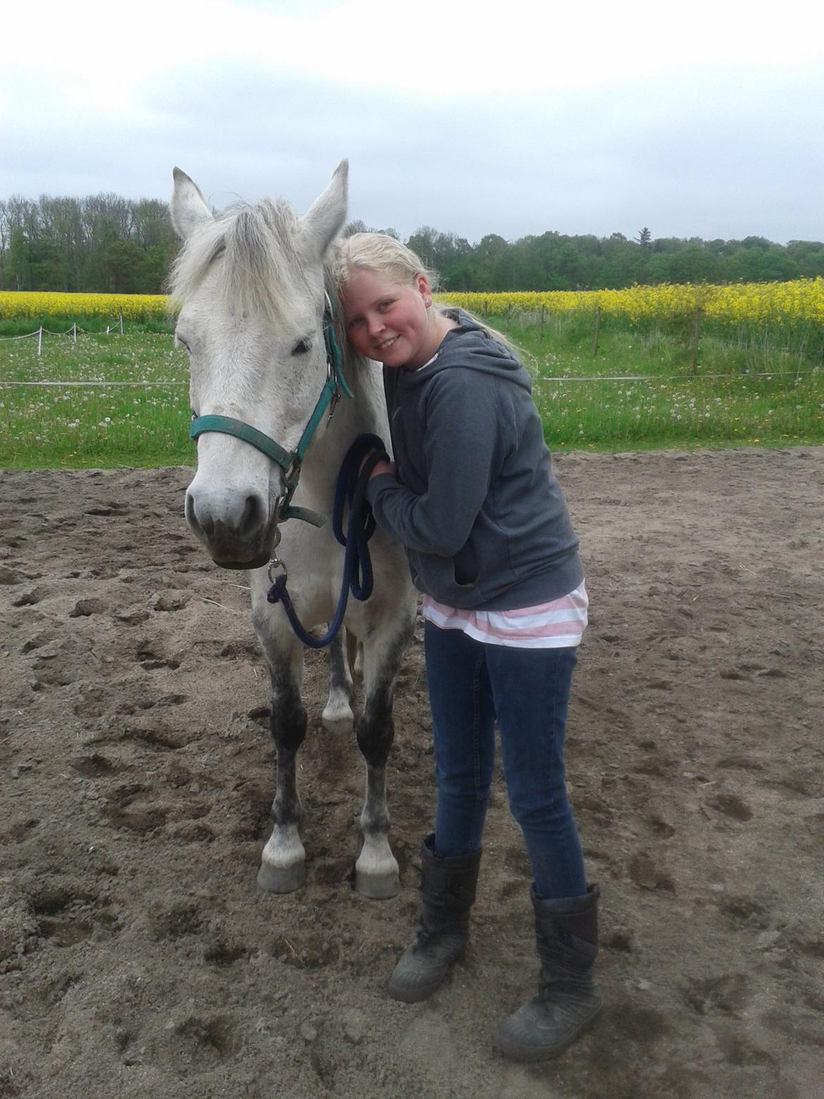 Anden særlig race Collexion billede 15