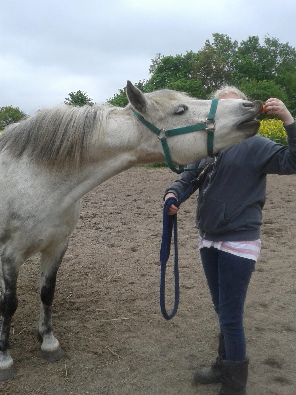 Anden særlig race Collexion billede 16