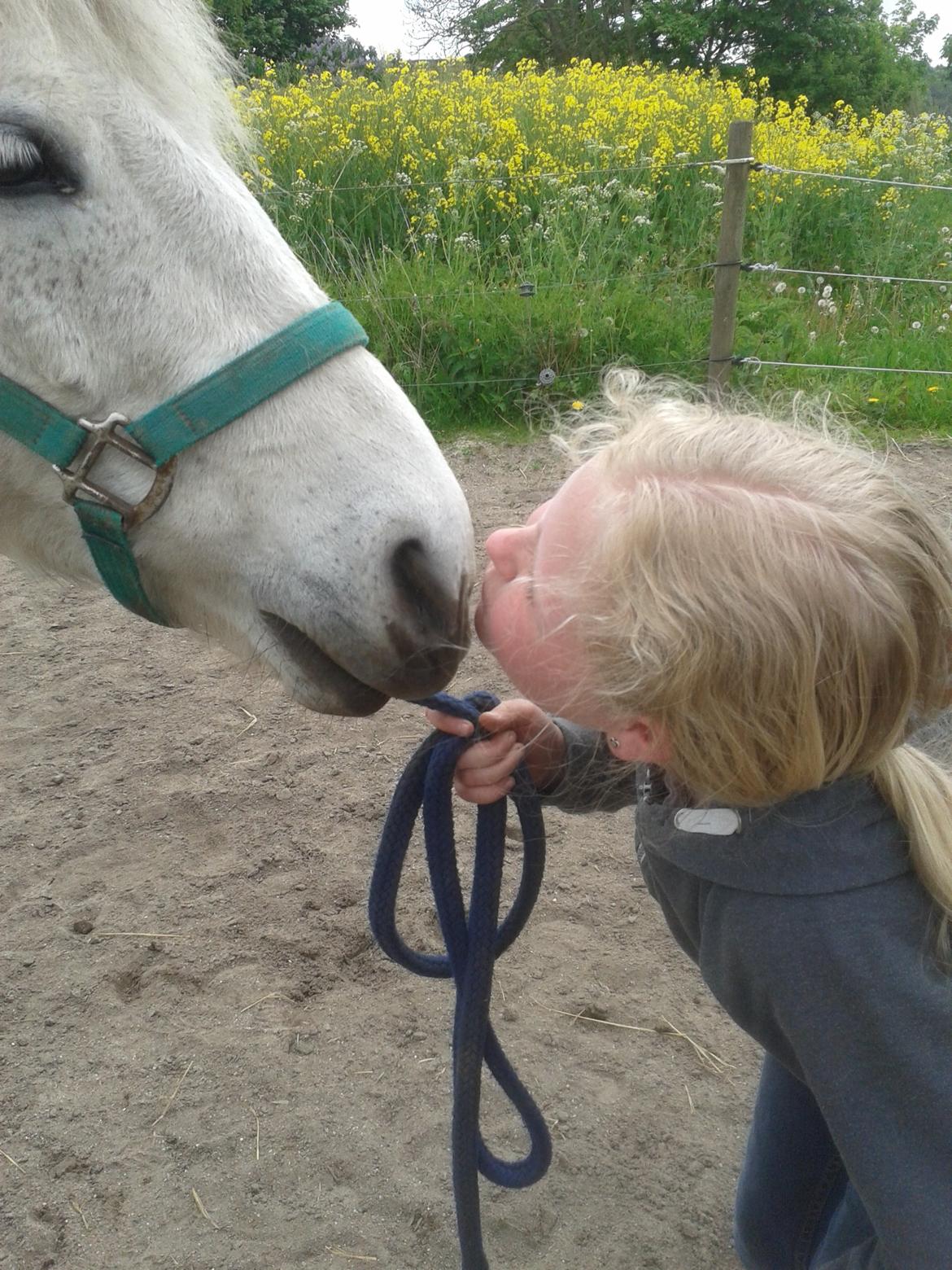 Anden særlig race Collexion billede 17