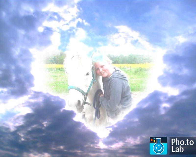 Anden særlig race Collexion billede 18