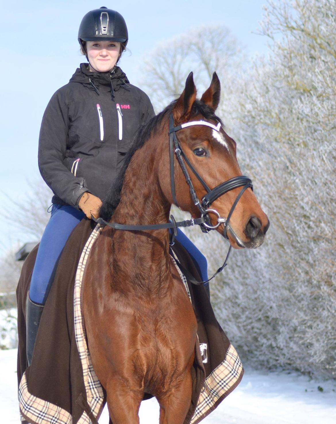 Anden særlig race Lippaschu billede 17