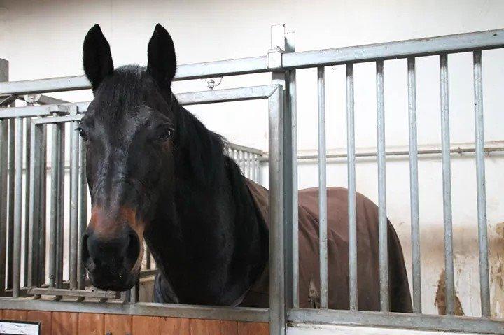 Oldenborg Constance (Lånt) billede 2