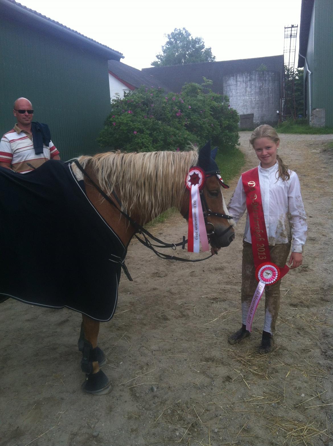 Anden særlig race Miss Movie Star - D3 D-mesterskab pony 2013 billede 1