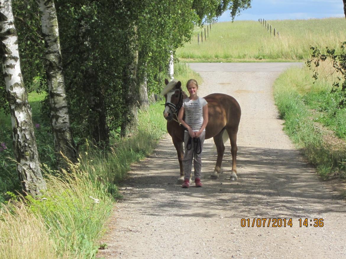 Anden særlig race Miss Movie Star billede 2