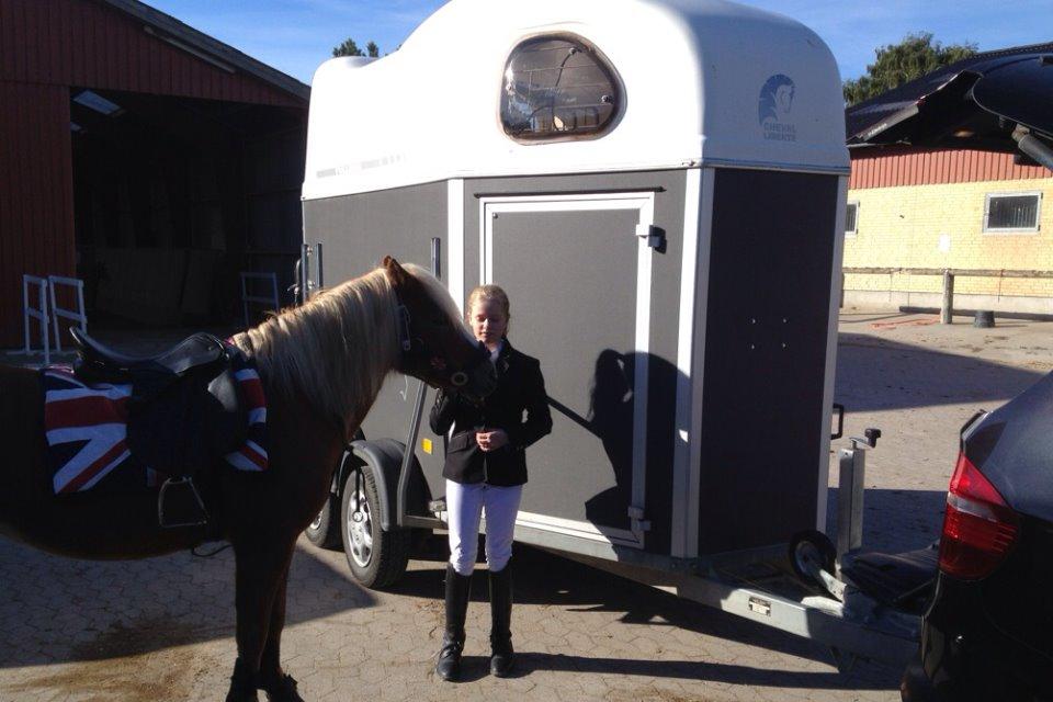 Anden særlig race Miss Movie Star - AAGS 1 plads billede 3