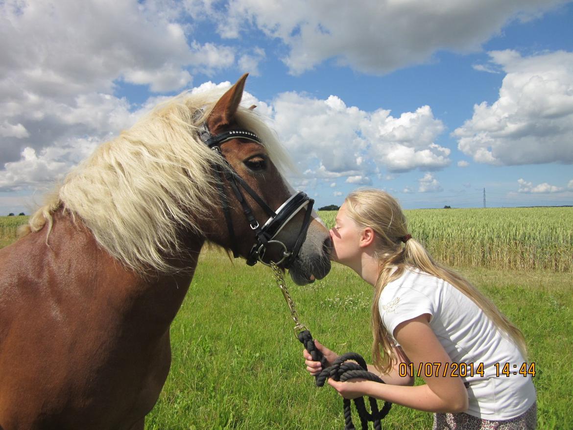 Anden særlig race Miss Movie Star billede 7