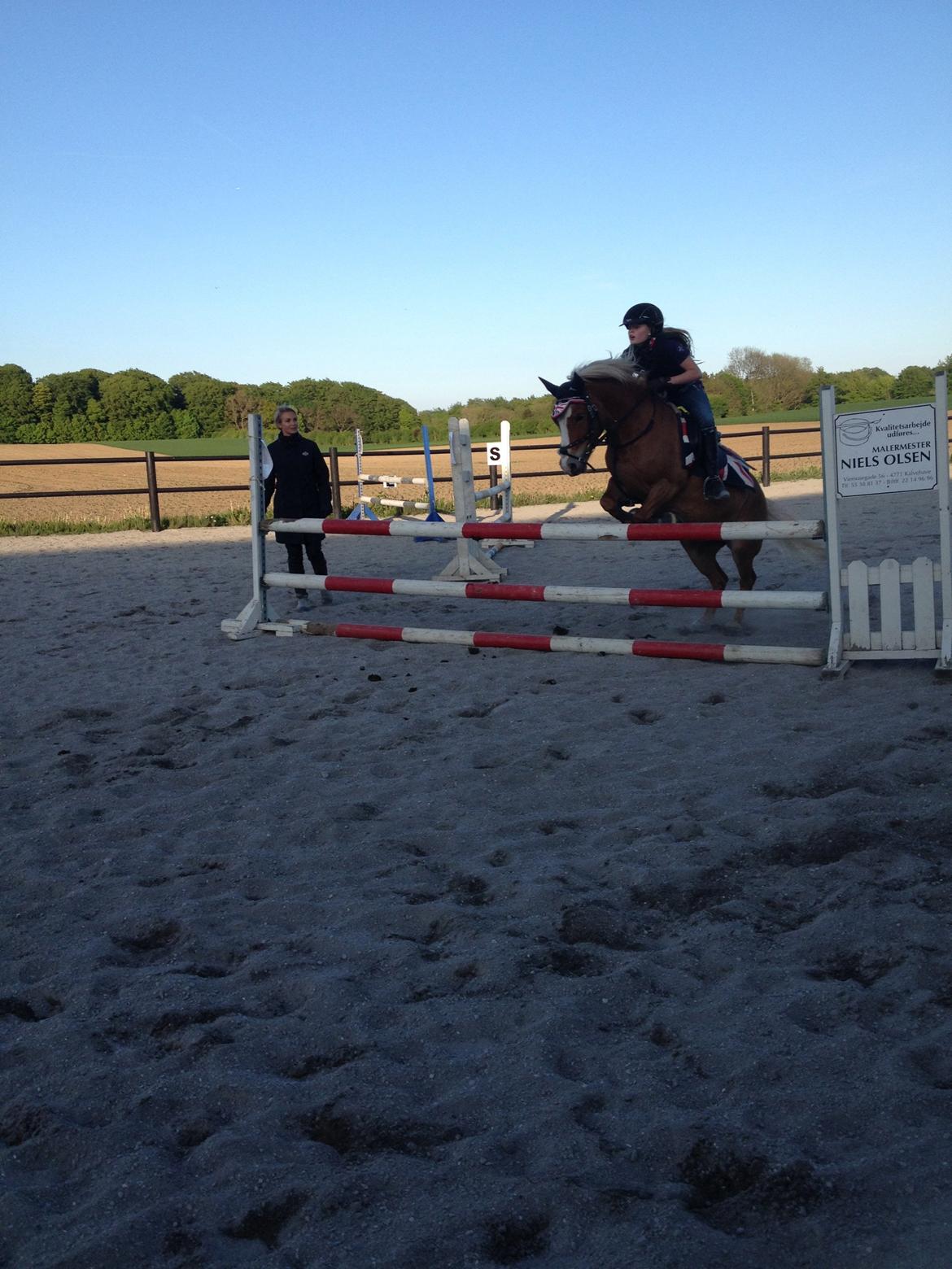 Anden særlig race Miss Movie Star - springundervisning med Tina Lund billede 8