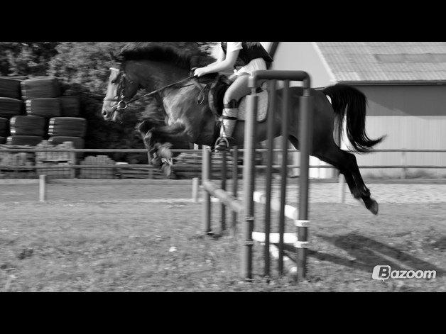 DSP Action Junior - lidt spring fra en pige som lånte ham billede 9