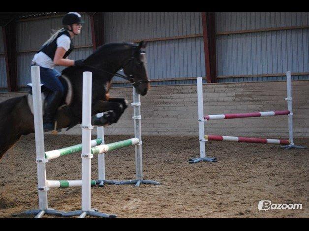 DSP Action Junior billede 10