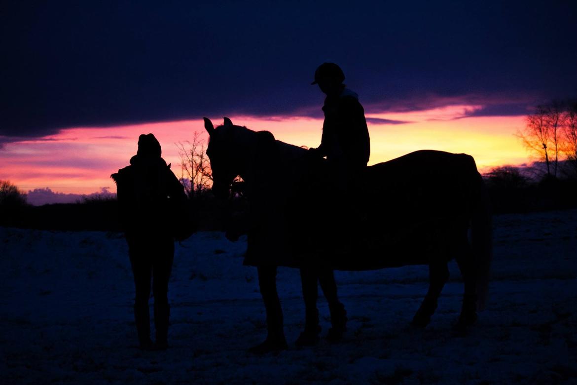 Palomino Klepholms Venus <3 - Maja, Sofie, Venus og jeg <3 - Foto: Mathilde Post Hansen billede 4