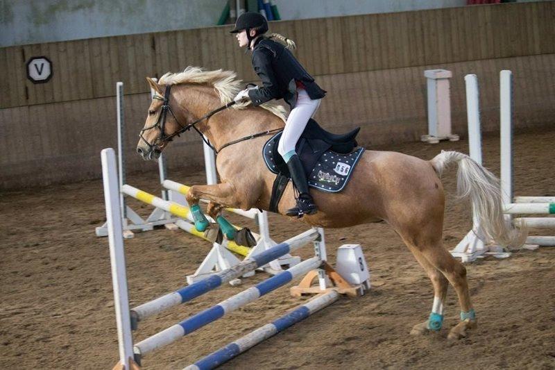 Palomino Klepholms Venus <3 - Vores første stævne :-) - Foto: Mathilde Post Hansen billede 7
