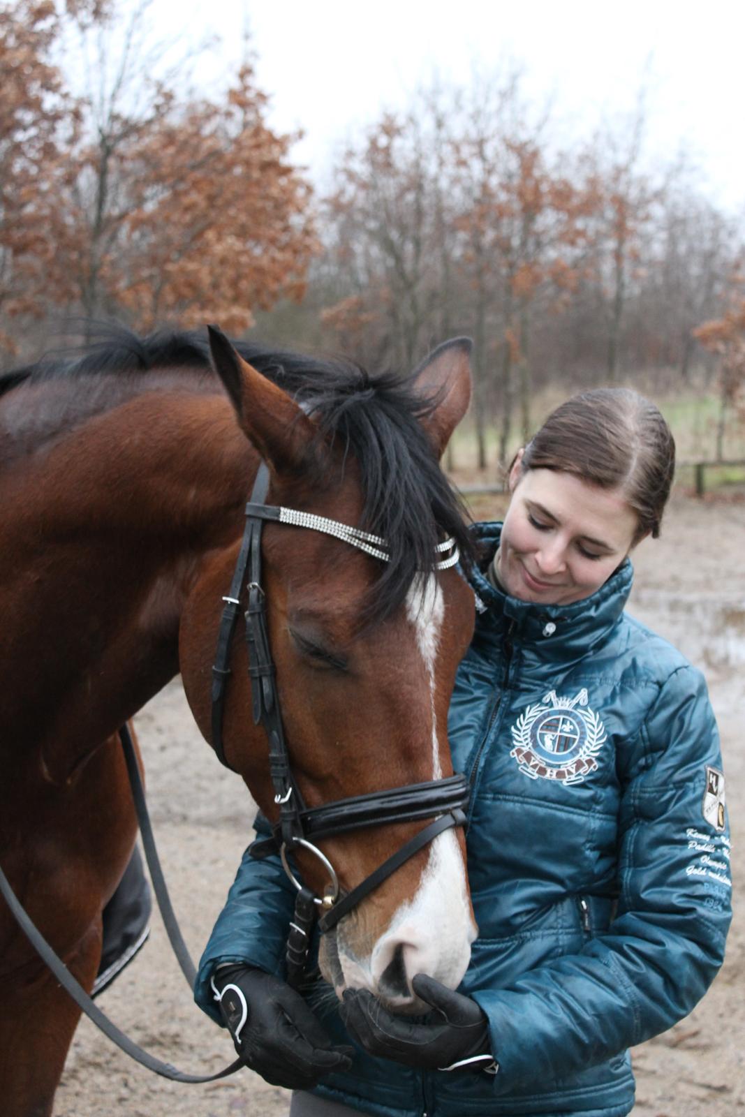 Dansk Varmblod Stauslykke's Avalon billede 11