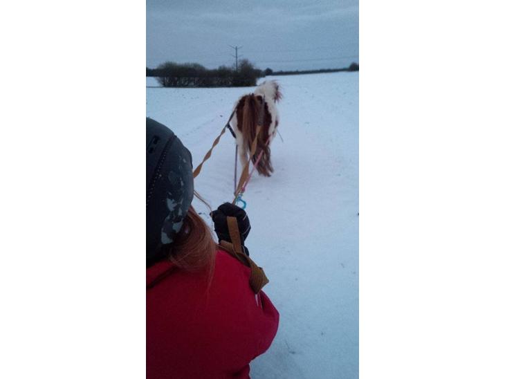 {{currentPhoto.altText}} billede {{currentPhoto.number}}