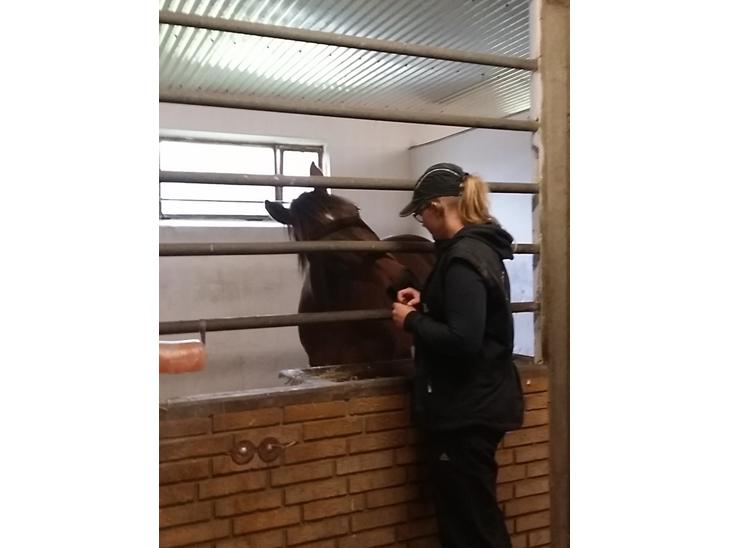 {{currentPhoto.altText}} billede {{currentPhoto.number}}