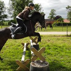 Anden særlig race Beauty