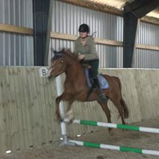 Hollandsk Sportspony Ilona <,3 SOLGT