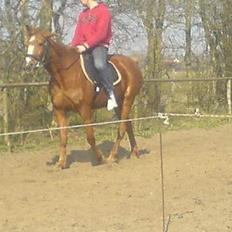 Traver Charmeur ***R.I.P***