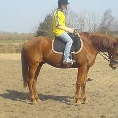 Traver Charmeur ***R.I.P***