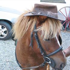 Anden særlig race pjuske