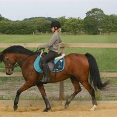 Anden særlig race | Sheika Bahia 'SOLGT :'(