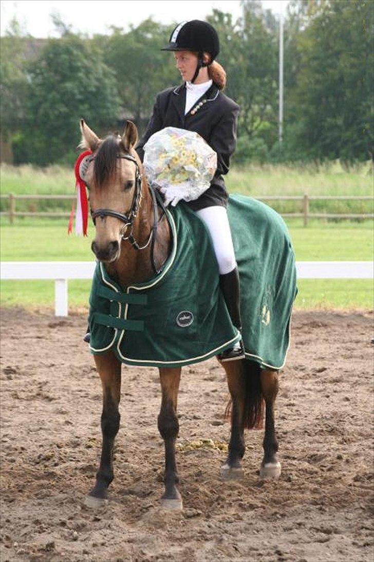 Anden særlig race Skovfryds Bukefalos/Bukki - haha xD vinder BM 2007 (Foto: Morten Fiil) billede 5