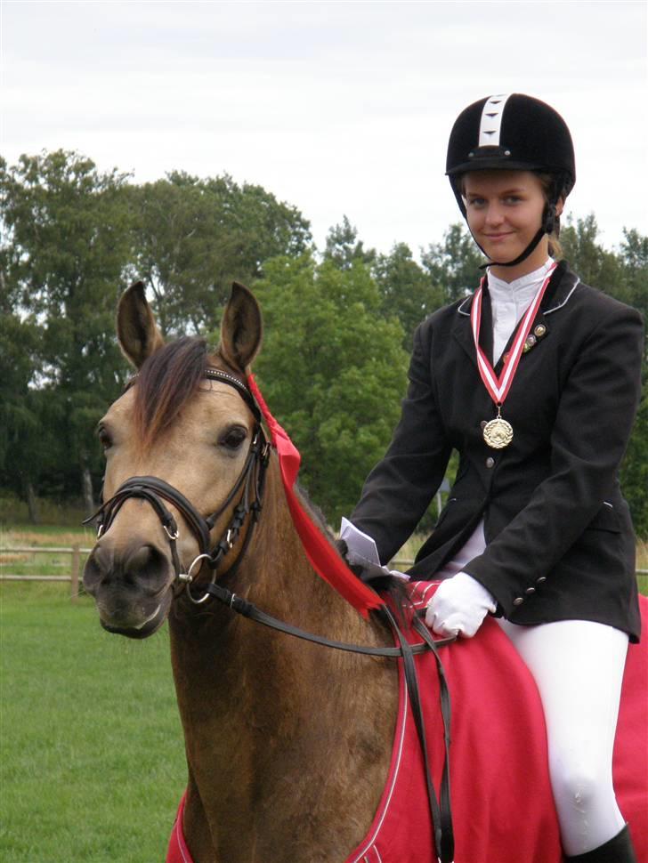 Anden særlig race Skovfryds Bukefalos/Bukki - BM 2009 Dressur! ;)  billede 9