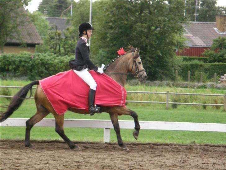 Anden særlig race Skovfryds Bukefalos/Bukki - Her er vi ude på æresrunden. ;)2009 billede 10