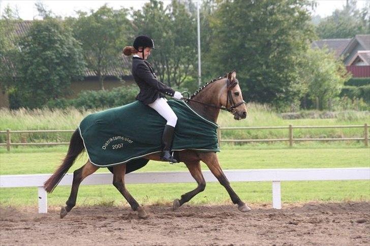 Anden særlig race Skovfryds Bukefalos/Bukki - Nejjj.. hvor er han køn <3 på æres runde. <3 BM 2007 (Foto: Morten Fiil) billede 12