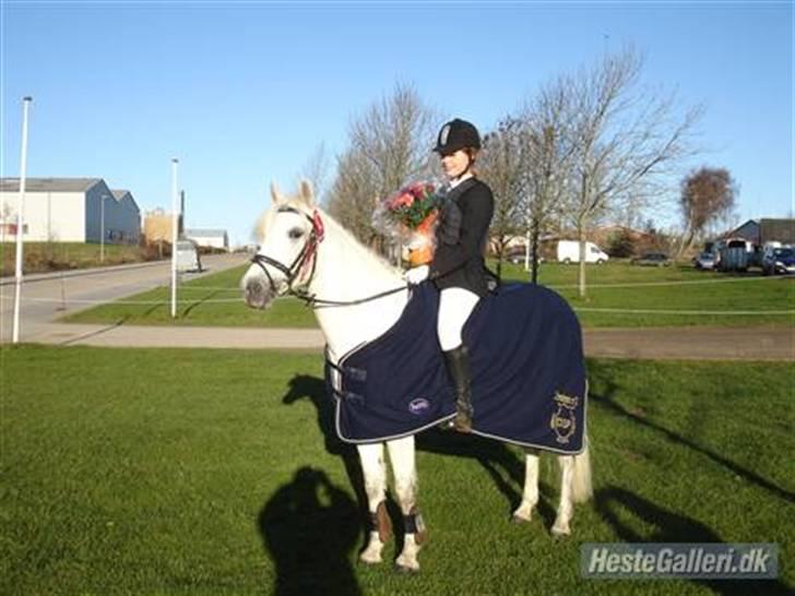 Connemara Nørlunds Penny Lane  - DSP Championatsvinder 2007 - 6 års springning :b billede 7