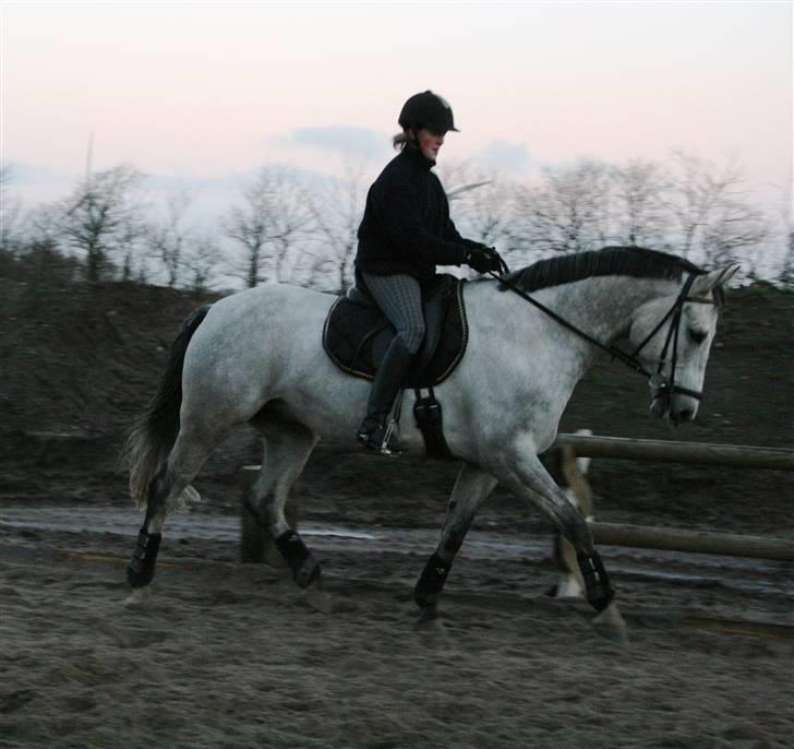 Dansk Varmblod Cantoná Skovvang *RIP* - *NYT* dec 07 - den daglige træning.. her på en af de dårlige dage.. billede 10