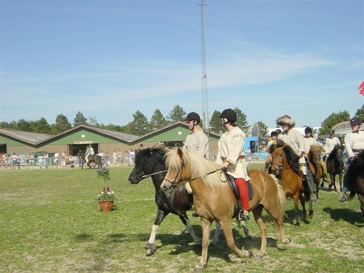 Islænder Klár fra Krossi - så leger vi viking. hun töltede bare så fantatisk den dag. <3( i må kun kopirere billederne hvis i få lov af mig ) billede 11