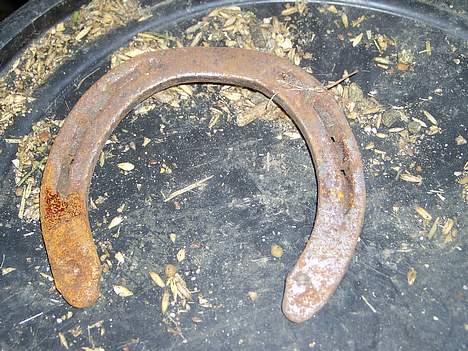 Frederiksborg <3fru-dutte<3  (R.I.P) - 12) se min stor sko  billede 12