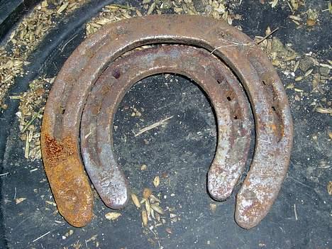 Frederiksborg <3fru-dutte<3  (R.I.P) - 13) det er min og sisis sko den stor er min billede 13