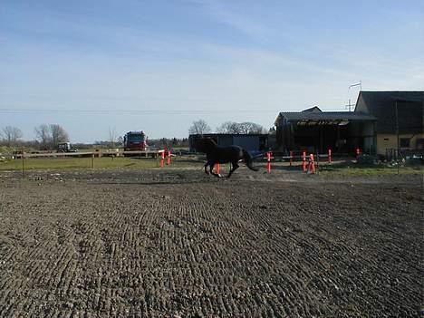 Anden særlig race Anastasia - Mere fart. 4/4-07 billede 11