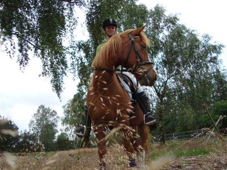 Anden særlig race sky   *solgt* - elsker min skat i nutid og datid, for evigt og altid <3( i må kun kopirere billederne hvis i få lov af mig ) billede 14