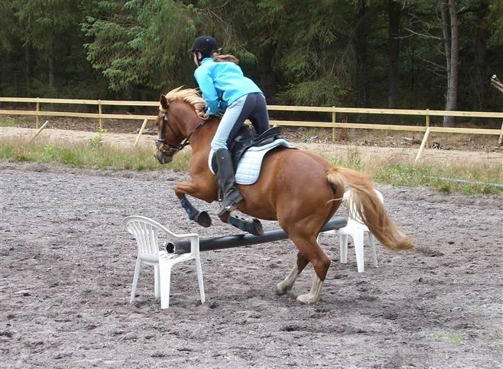 Anden særlig race sky   *solgt* - min lille elskede superman, Nanna springer på ham,  <3 ( i må kun kopirere billederne hvis i få lov af mig ) billede 15