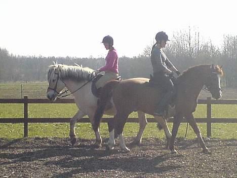 Fjordhest Claus - Gammel Part :'/ - Mig og ham , Sund og Ronja <3<3<3 [Fotograf: Michelle] billede 6