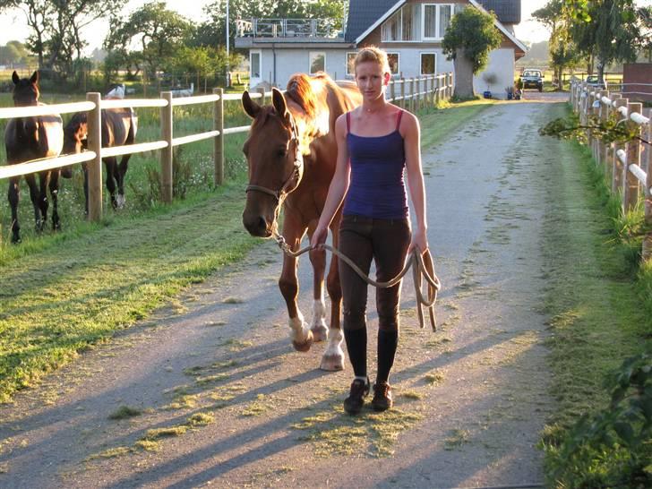 Palomino Blegvads Valentin - mig og valentin - 27/7-08 billede 17