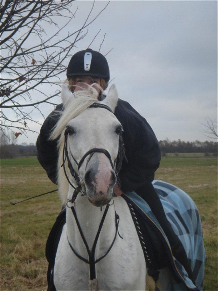 Connemara Skovlundegårds Tilia - <3 billede 12