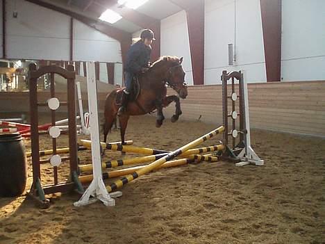 Anden særlig race Ofelia gammel part - tjek lige benene billede 11