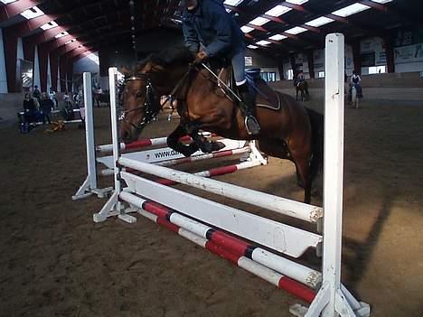 Anden særlig race Ofelia gammel part - lige et spring billede 12